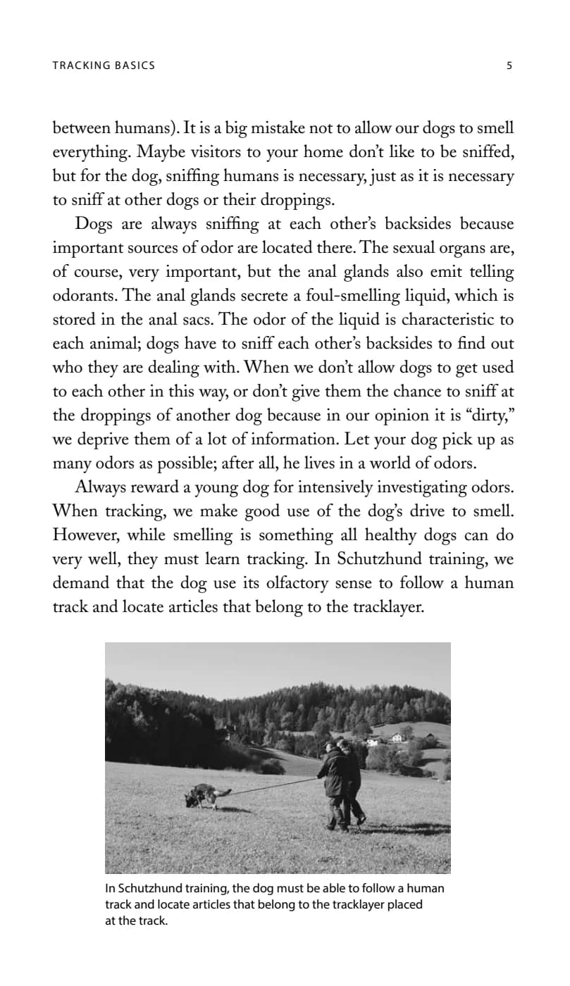 Schutzhund犬运动：正向强化训练：追踪基础与嗅觉背景