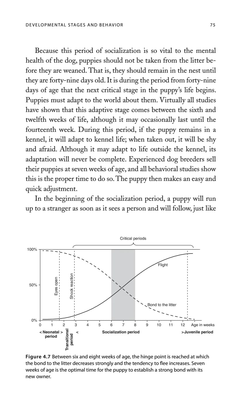 工作犬行为基础：犬的发育与行为阶段